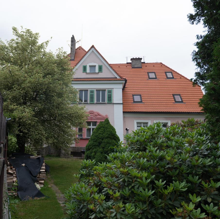 Hotel Penzion Signum Laudis Velké Hamry Exterior foto